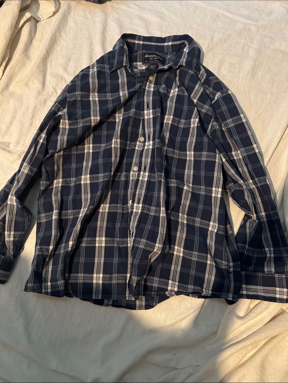 Abercrombie & Fitch Navy and White Plaid Button-Down Shirt